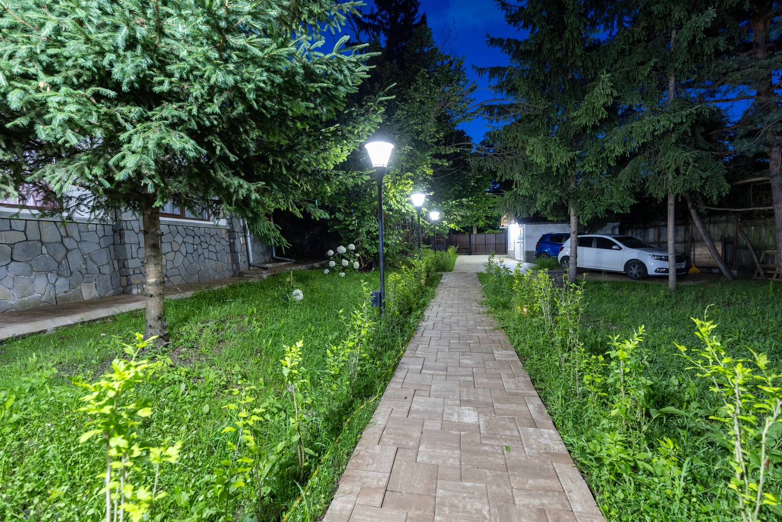 Exterior & grădină