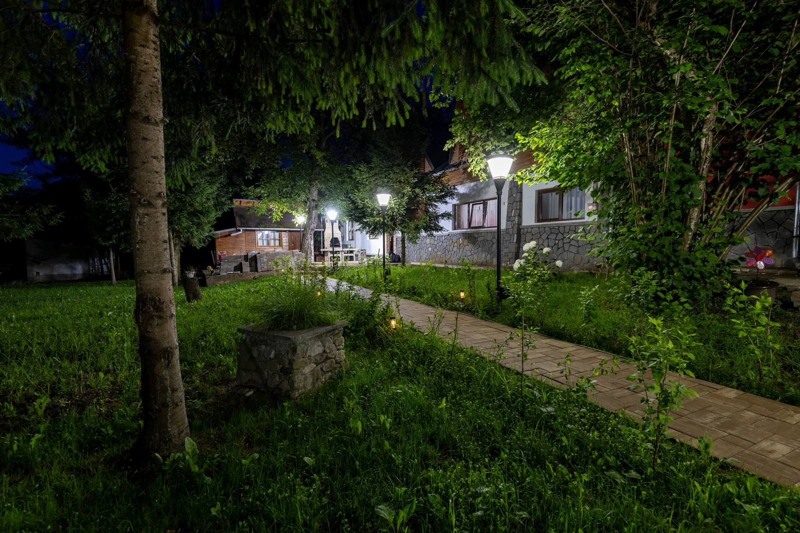 Exterior & grădină
