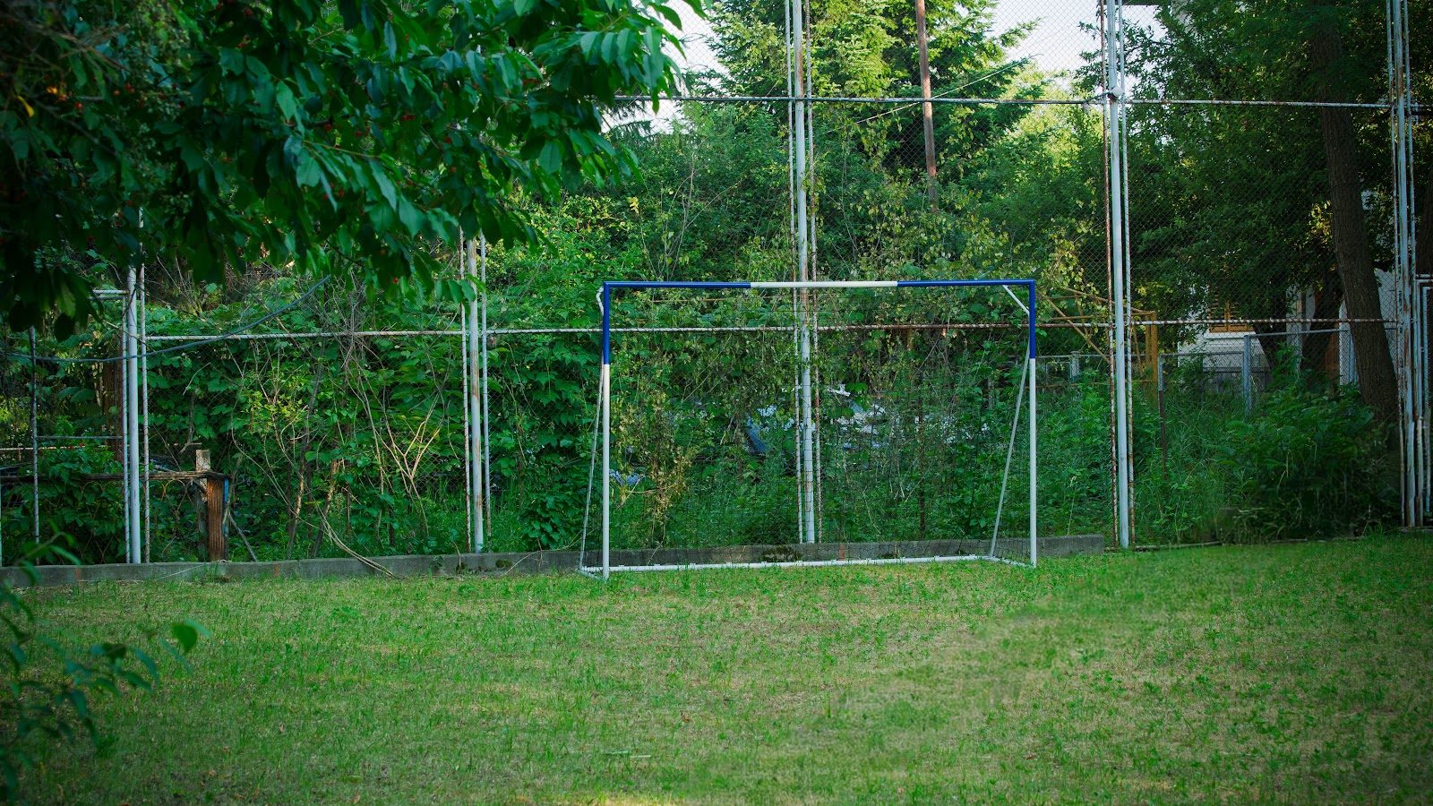Piscină, curte & teren