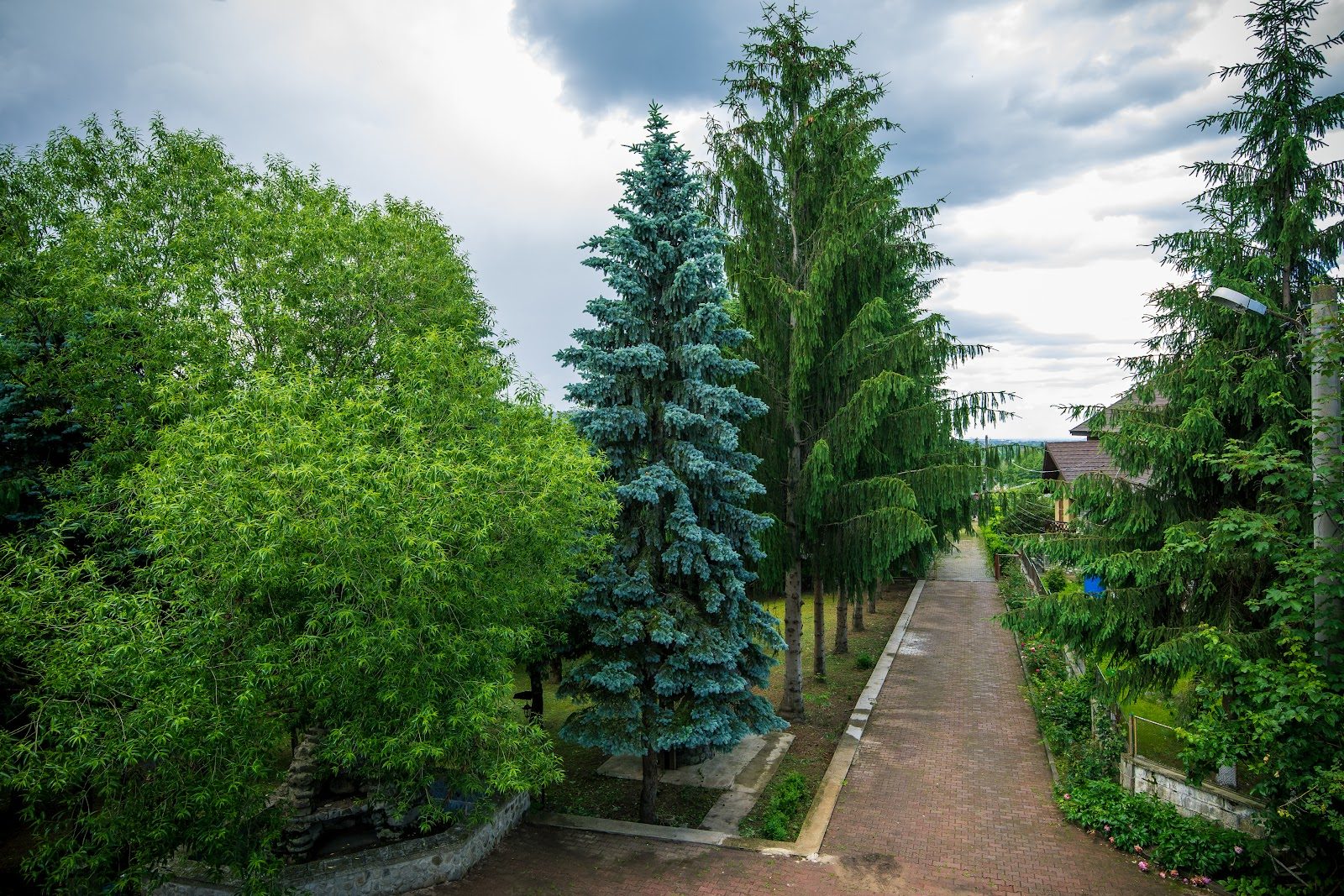 Exterior & livadă