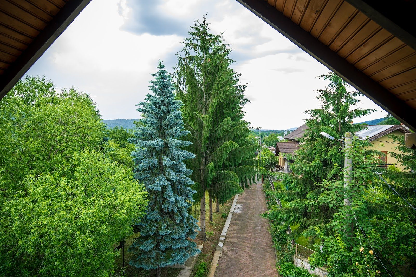 Exterior & livadă