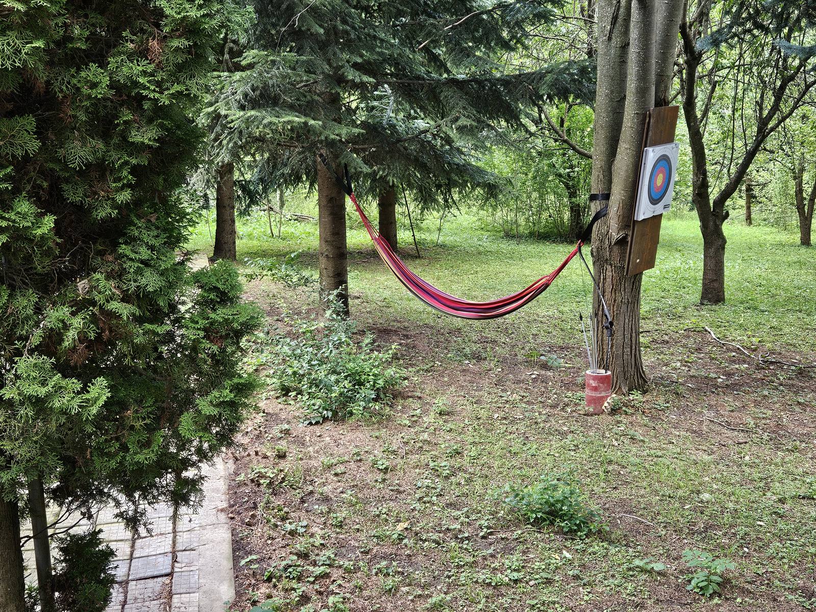 Piscină, curte & teren