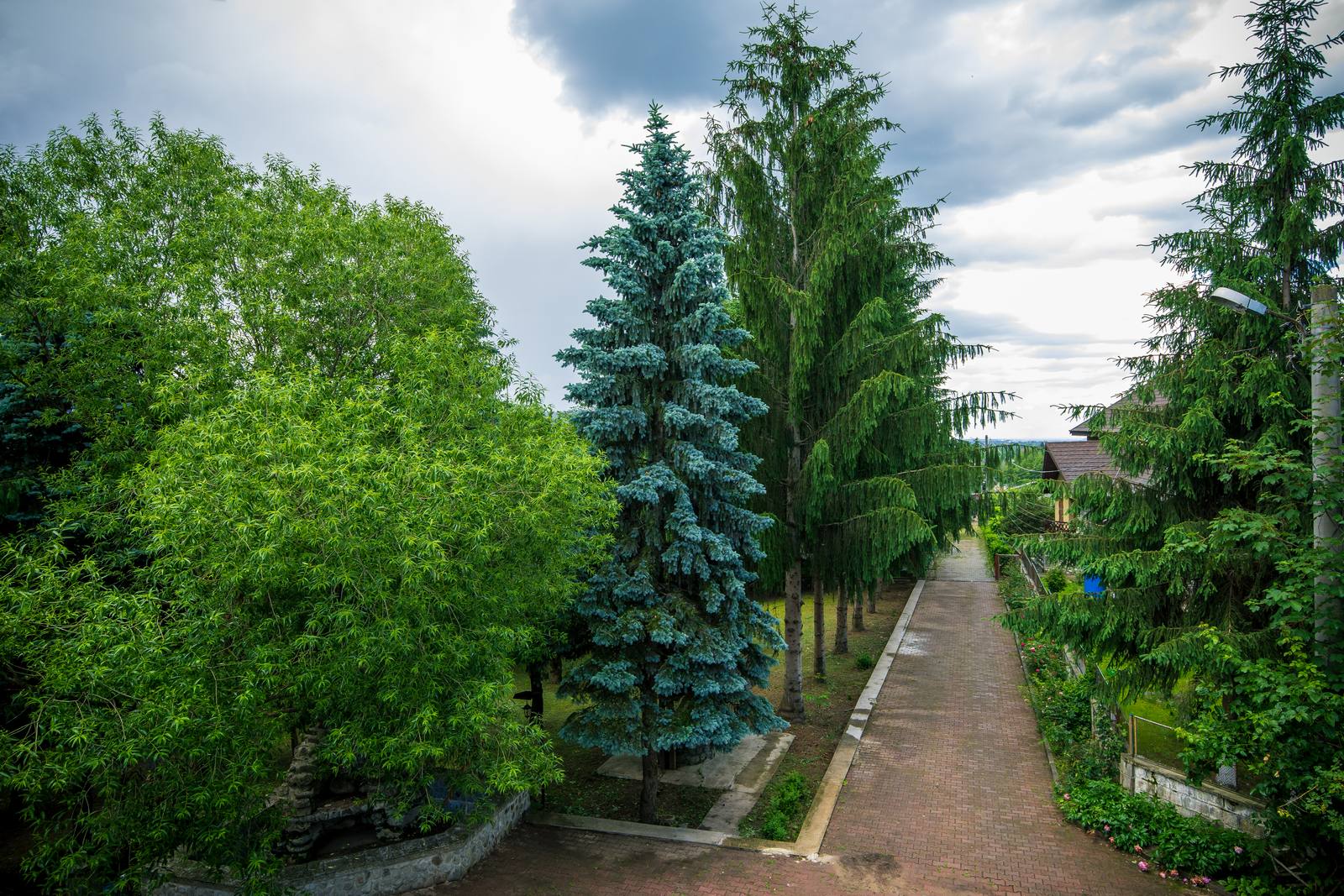 Exterior & livadă